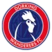 Dorking Wanderers