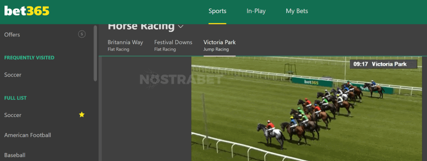 bet365 virtual horse racing bets